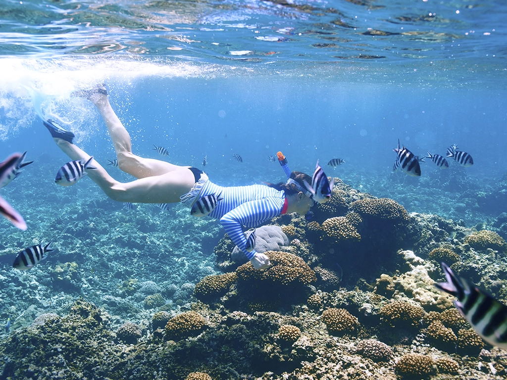 Tour Arrecife de Puerto Morelos